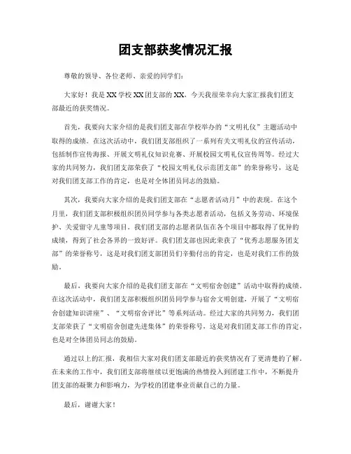 团支部获奖情况汇报