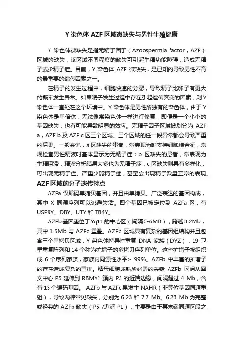 Y染色体AZF区域微缺失与男性生殖健康