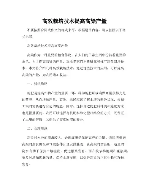 高效栽培技术提高高粱产量