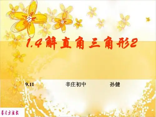 解直角三角形2