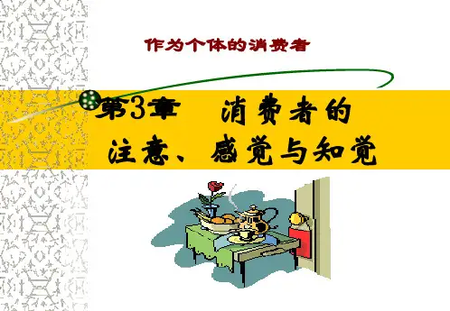 第3章 消费者的注意、感觉与知觉ppt课件