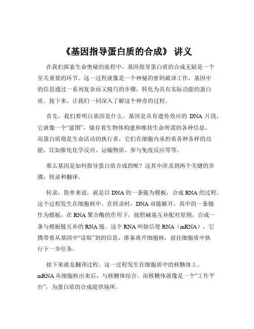 《基因指导蛋白质的合成》 讲义