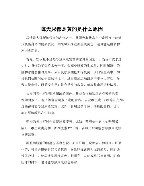 每天尿都是黄的是什么原因