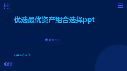 优选最优资产组合选择Ppt
