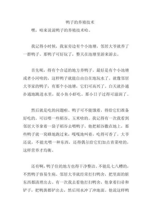 鸭子的养殖技术