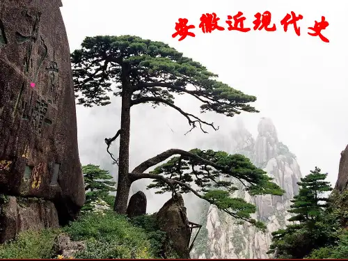 安徽_近现代史