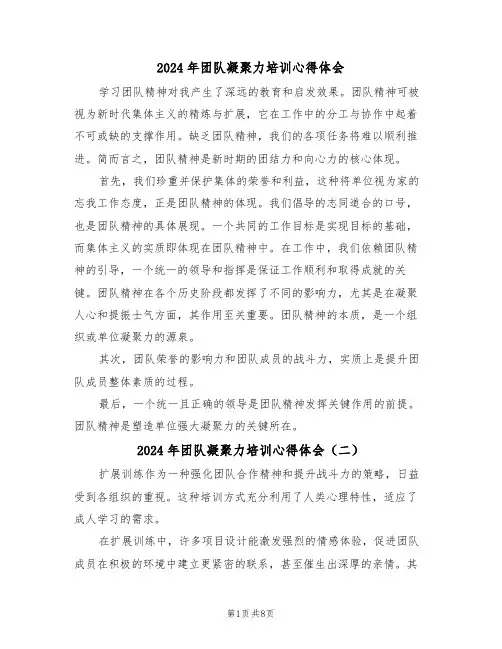 2024年团队凝聚力培训心得体会（五篇）