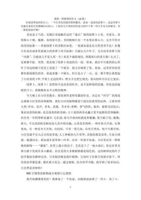 观察一种植物的作文(10篇)