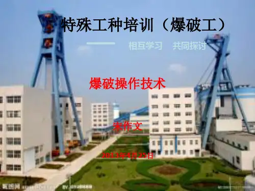 特殊工种培训.pptx