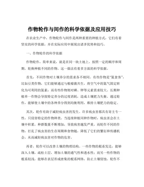 作物轮作与间作的科学依据及应用技巧