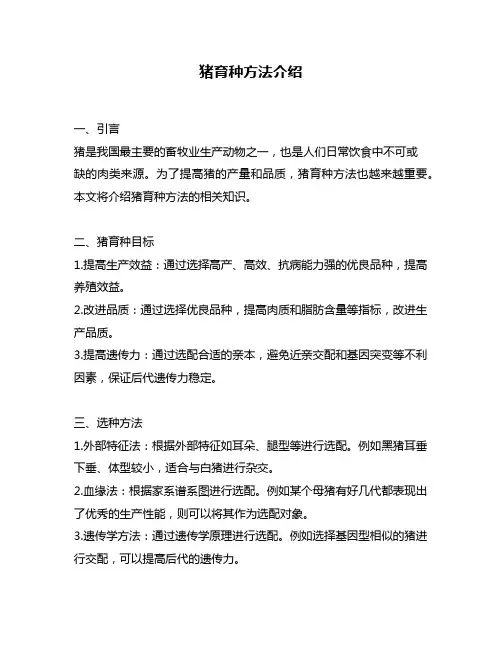 猪育种方法介绍