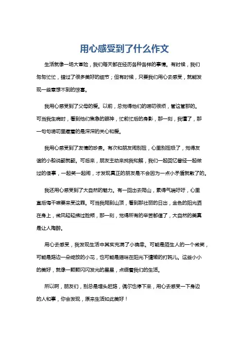用心感受到了什么作文