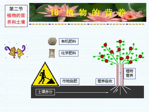 植物的营养和土壤