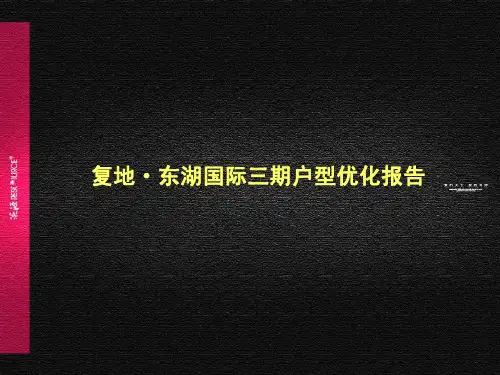 武汉复地东湖国际三期户型优化报告