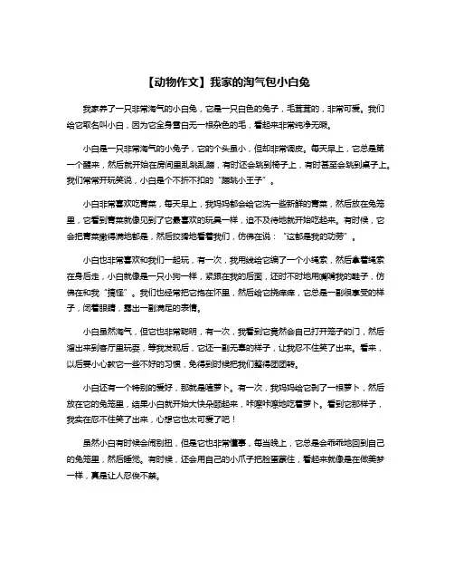 【动物作文】我家的淘气包小白兔