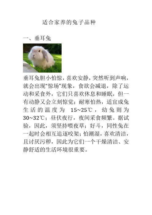 适合家养的兔子品种