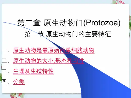 动物学课件原生动物门