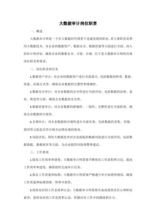 大数据审计岗位职责