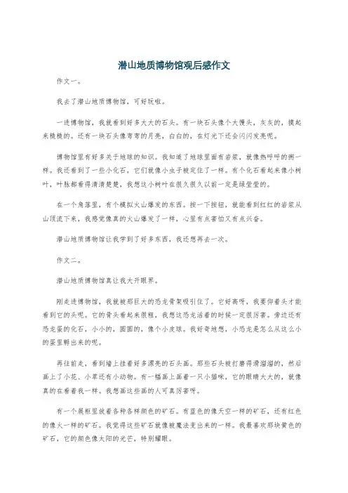 潜山地质博物馆观后感作文