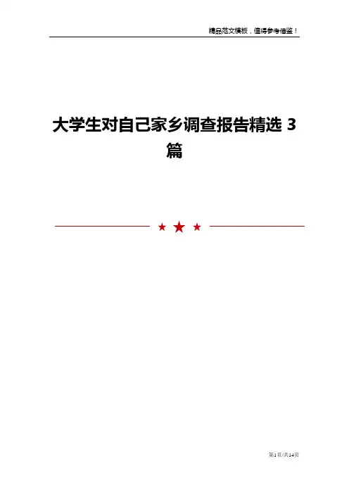 大学生对自己家乡调查报告精选3篇