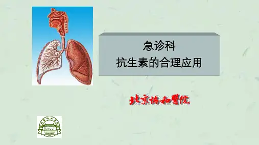 抗生素合理应用全课件