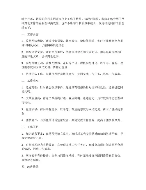 网评工作总结个人