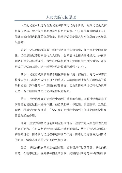 人的大脑记忆原理