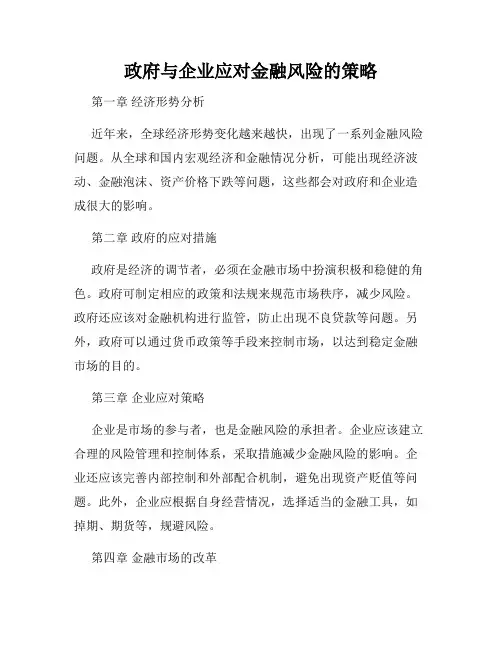 政府与企业应对金融风险的策略