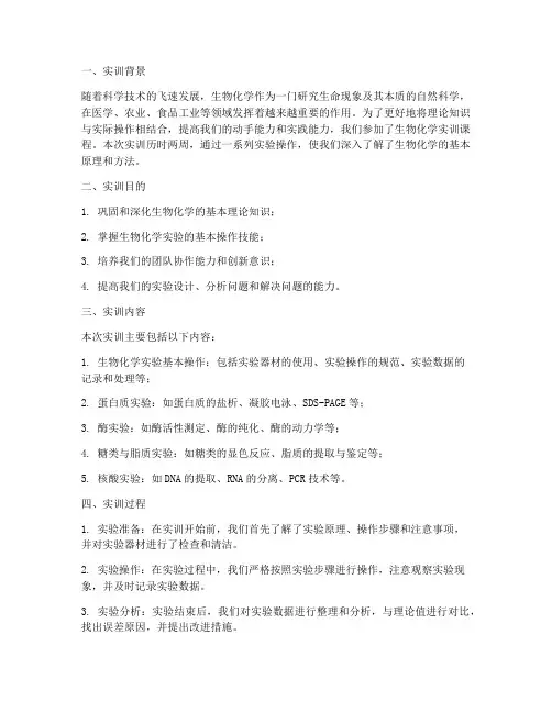 生物化学的实训报告总结