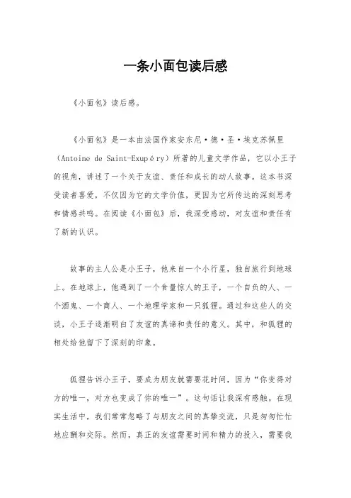一条小面包读后感