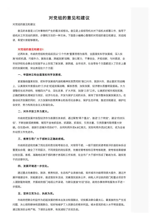 对党组的意见和建议