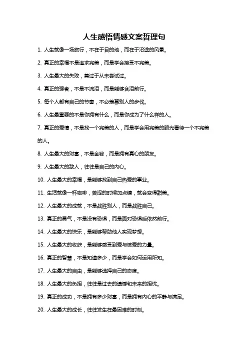 人生感悟情感文案哲理句