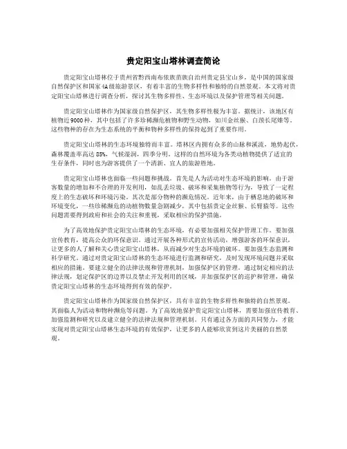 贵定阳宝山塔林调查简论