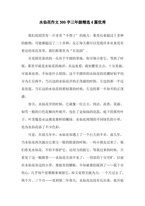 水仙花作文300字三年级4篇优秀精选