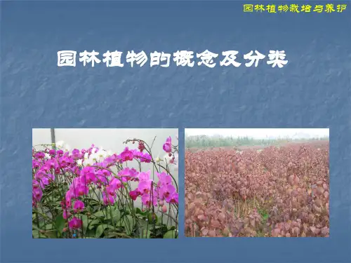园林植物分类-1
