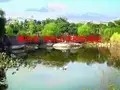第八节 流体力学模拟理论概论