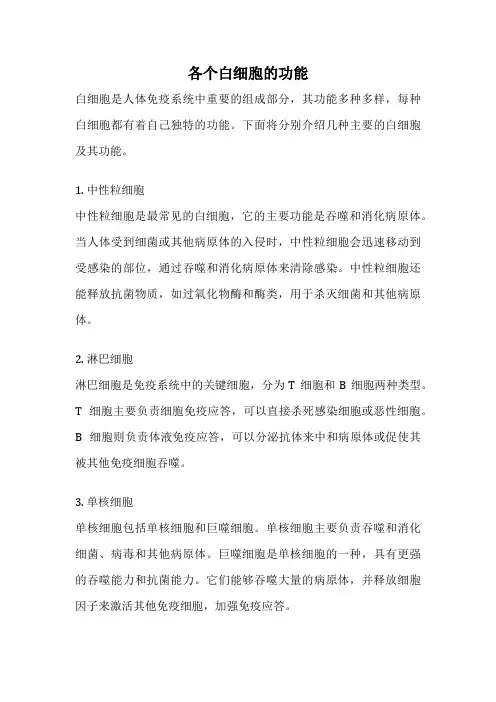 各个白细胞的功能