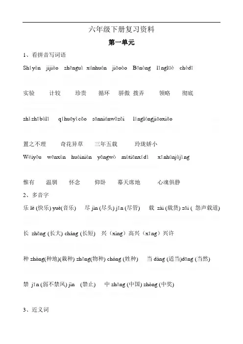 北师大版六年级语文下册复习资料