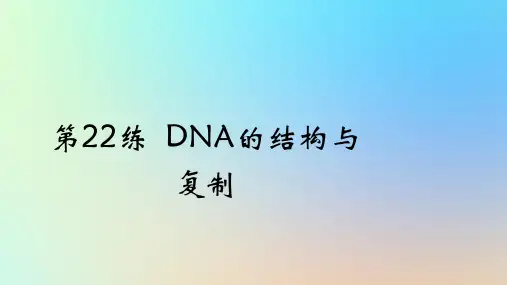 2025版高考生物一轮复习真题精练第六章遗传的分子基础第22练DNA的结构与复制课件
