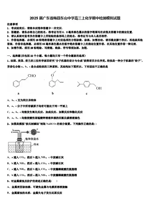2025届广东省梅县东山中学高三上化学期中检测模拟试题含解析