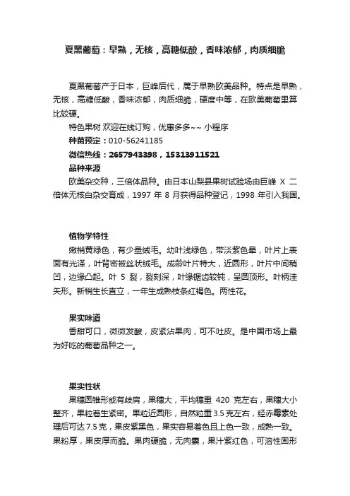 夏黑葡萄：早熟，无核，高糖低酸，香味浓郁，肉质细脆