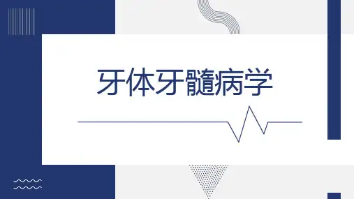 牙体牙髓病学