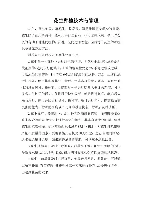 花生种植技术与管理