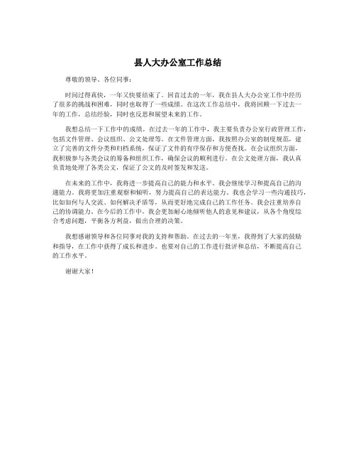 县人大办公室工作总结