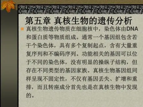 第五章真核生物的遗传分析