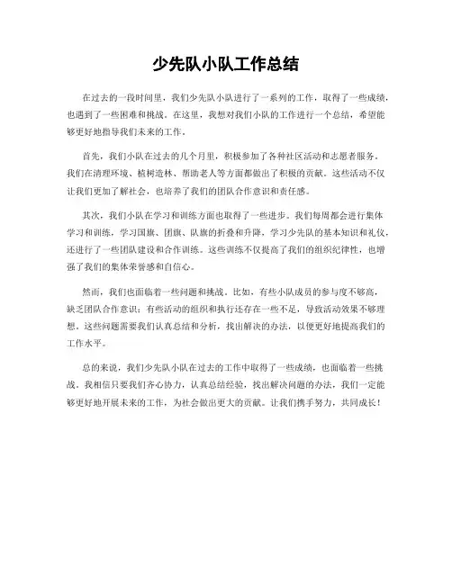 少先队小队工作总结