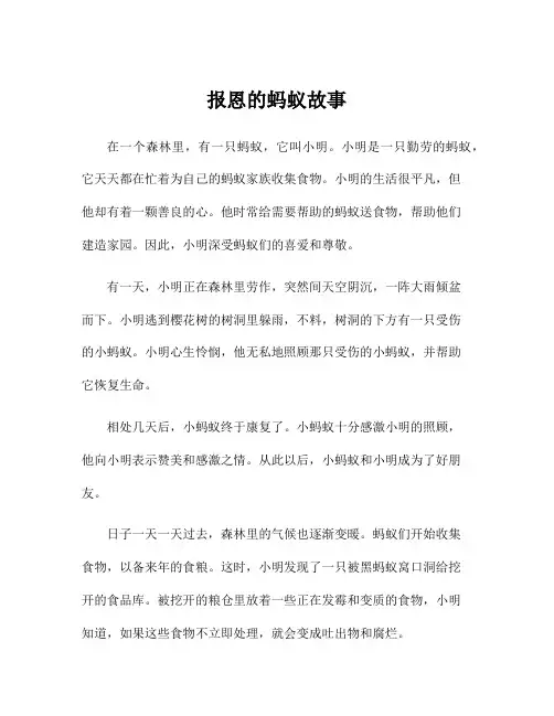 报恩的蚂蚁故事