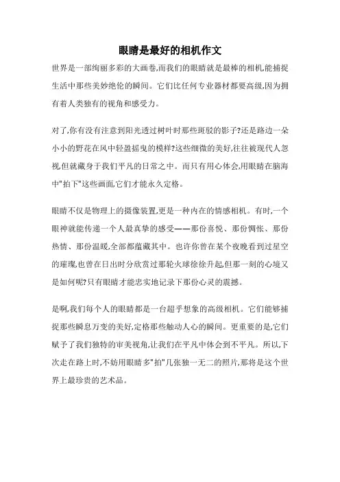 眼睛是最好的相机作文