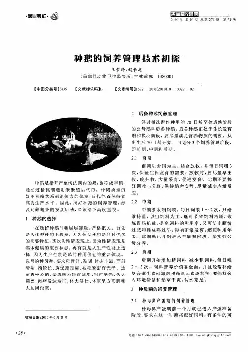 种鹅的饲养管理技术初探