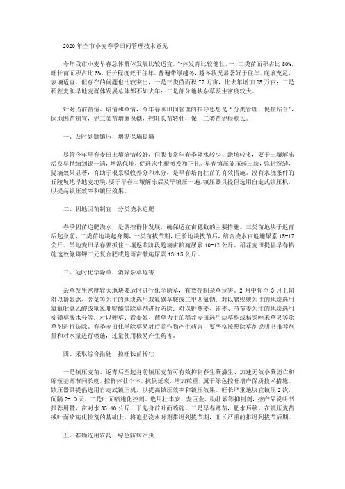 2020年全市小麦春季田间管理技术意见